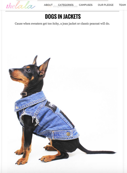 Denim Dog Vest Pethaus