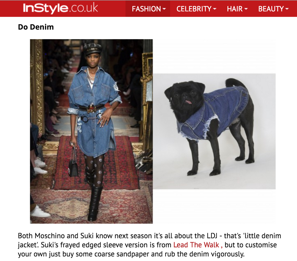 Denim Dog Fashion Instyle UK