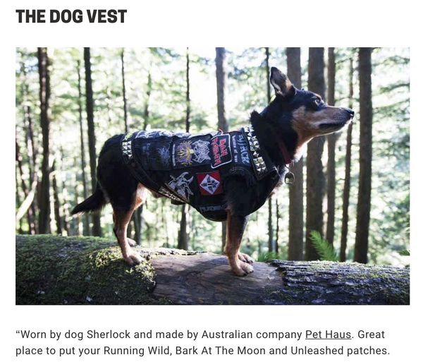 Pethaus Dog battle jacket Kerrang mag