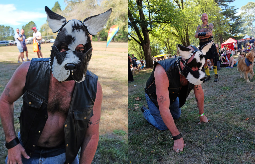 Dog Mask fun Chillout Festival