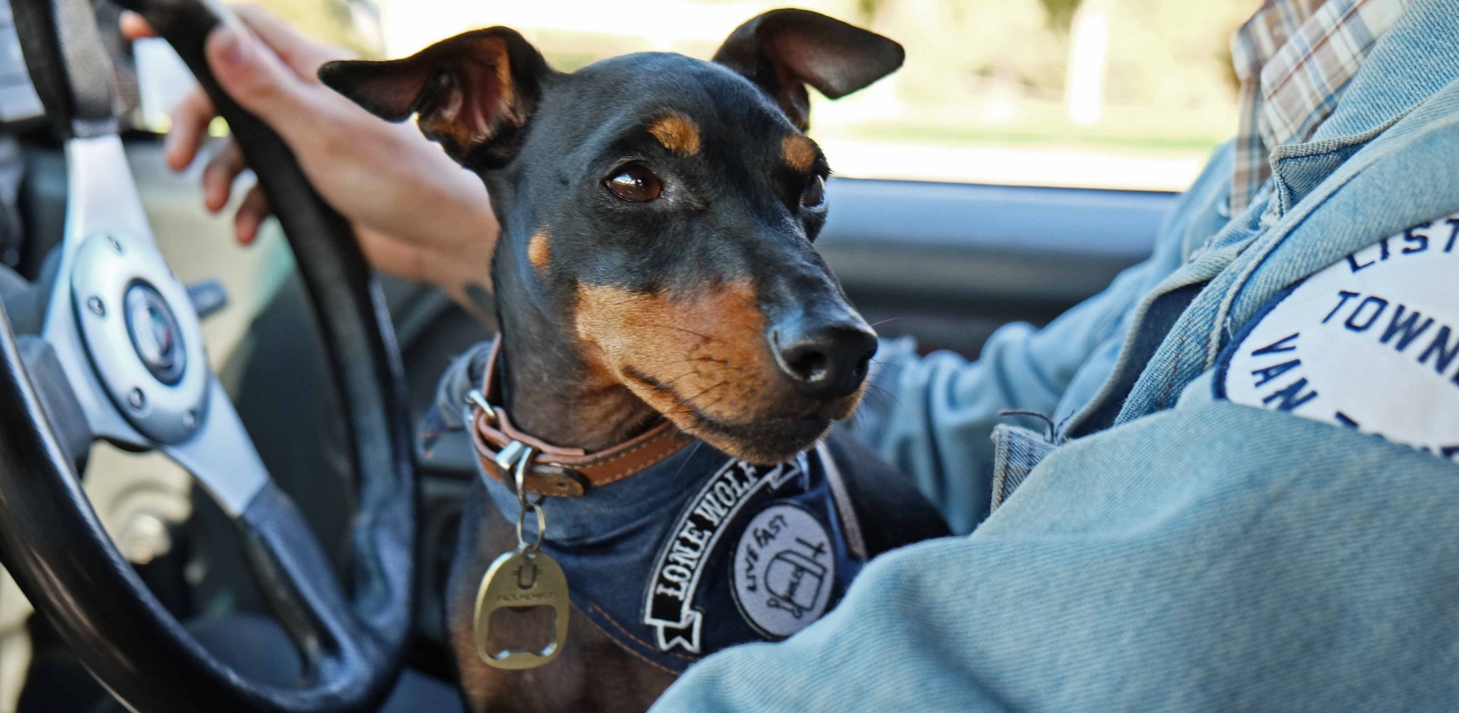 Dog bandana, denim dog bandana, Pethaus, cool dog bandana