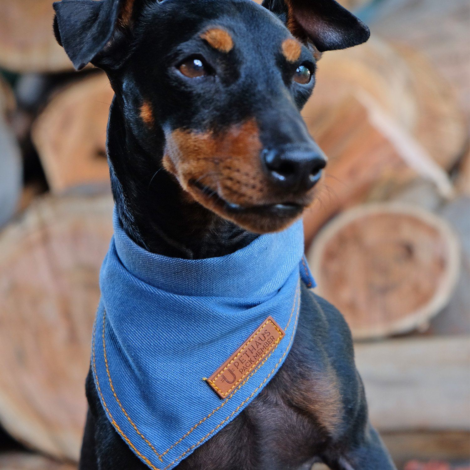 Dog Bandanas – Bloom Paws