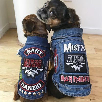 dog battle jacket