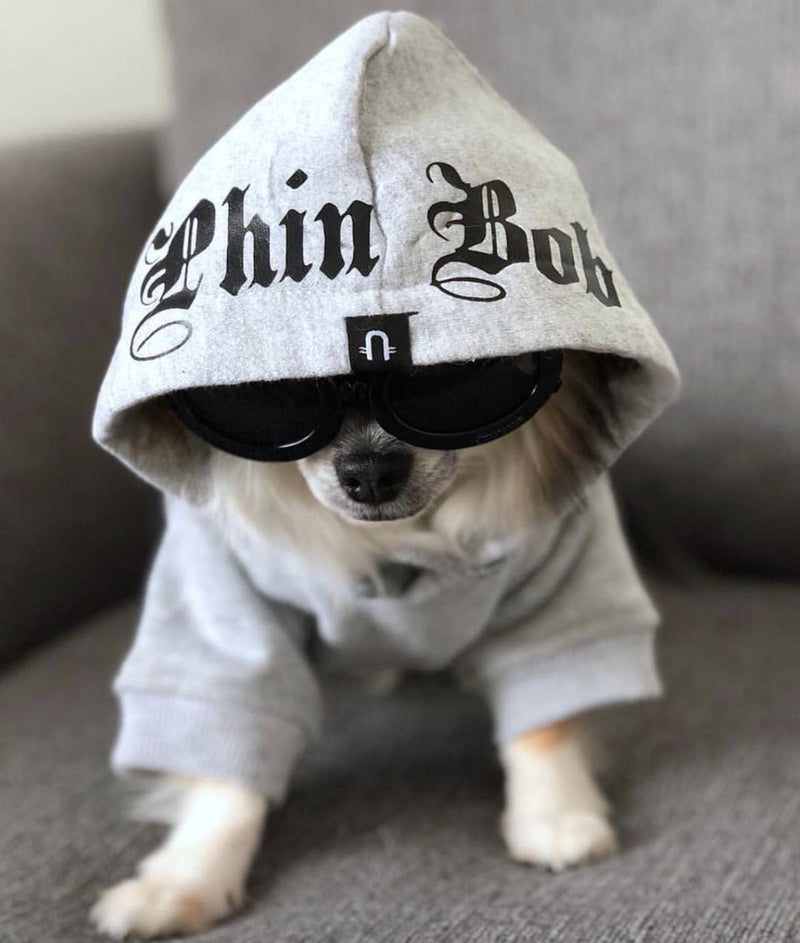 cool dog hoodies