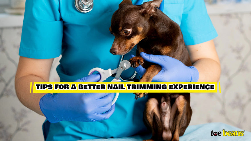 Better Nail Trimming Experience