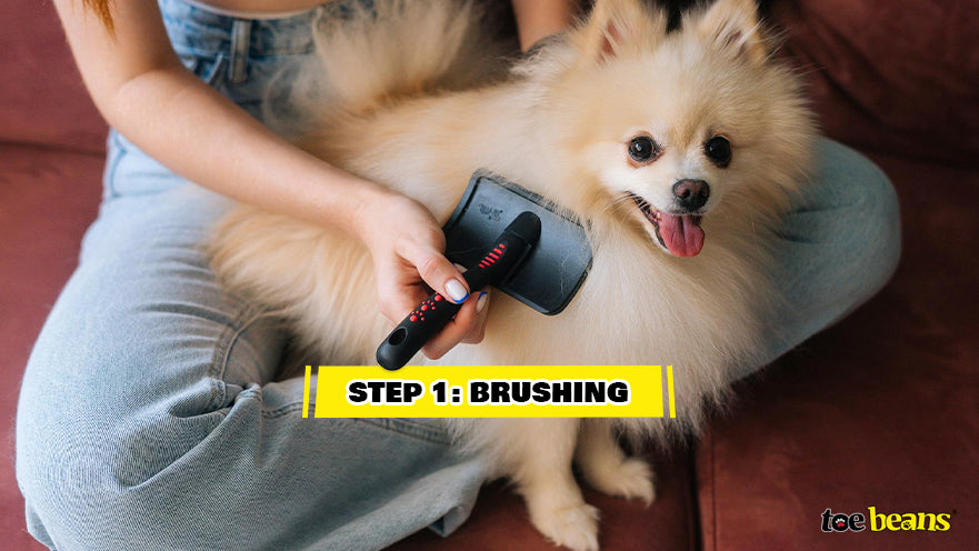 Brushing Your Dog