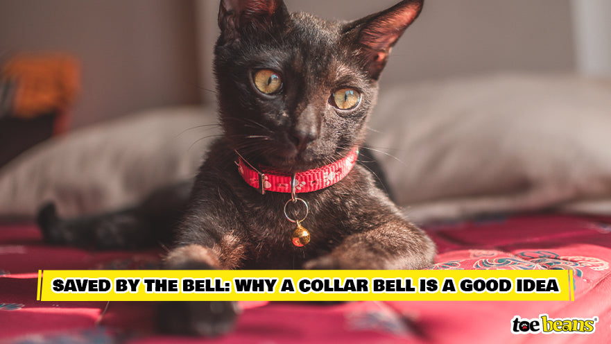 are collars with bells bad for dogs
