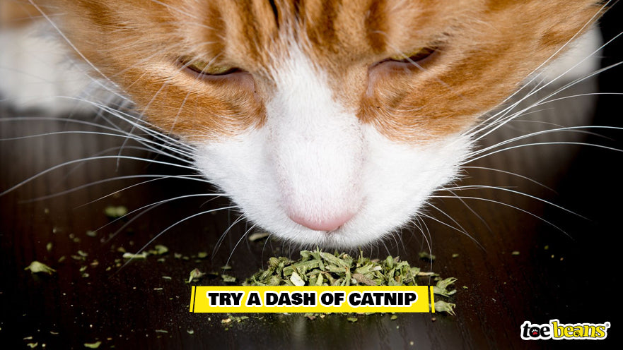 Cat With Catnip Image by Toe Beans