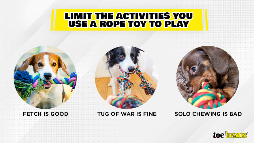 Are Rope Toys Dangerous For Your Dog? - Whole Dog Journal