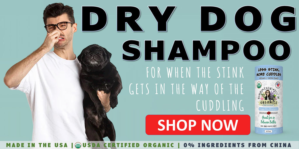 areal indelukke misundelse 5 Alternatives to Dog Shampoo That You Can Use to Wash Your Pup - toe beans