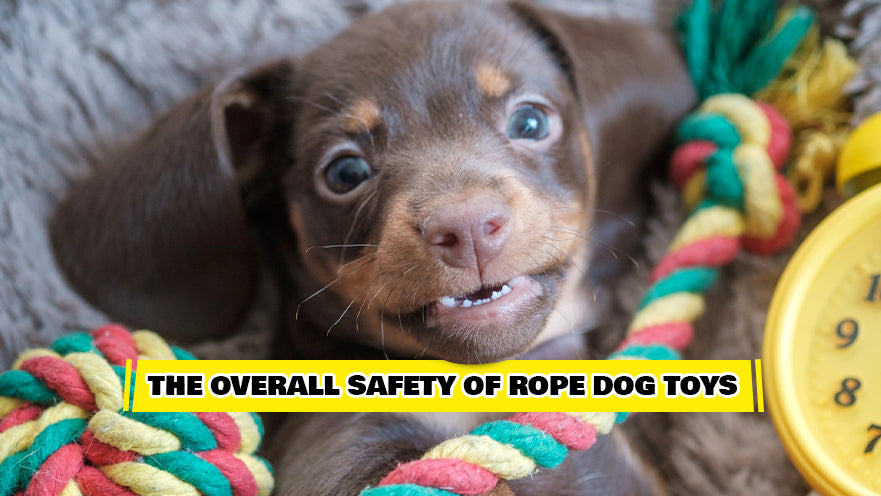 are rope toys safe for puppies