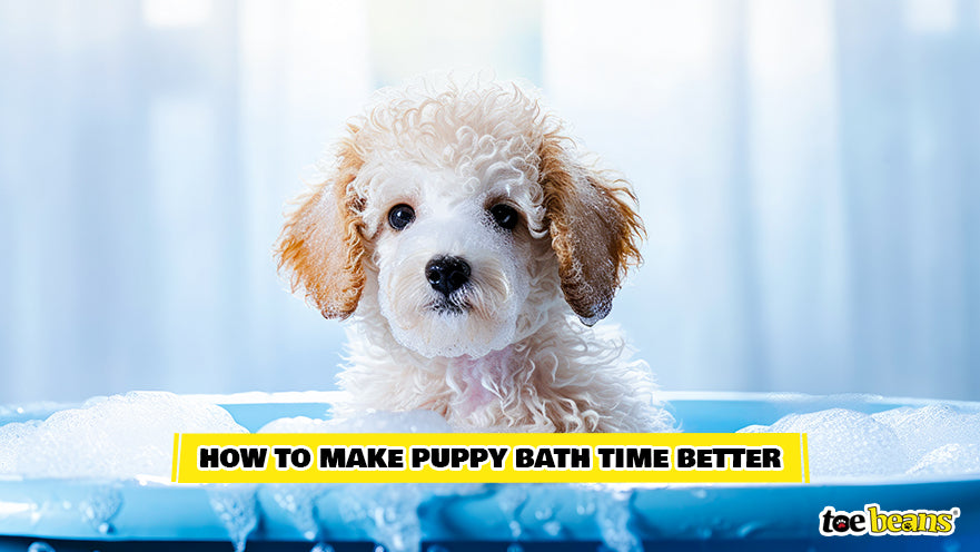 Puppy Bath Time Image by Toe Beans