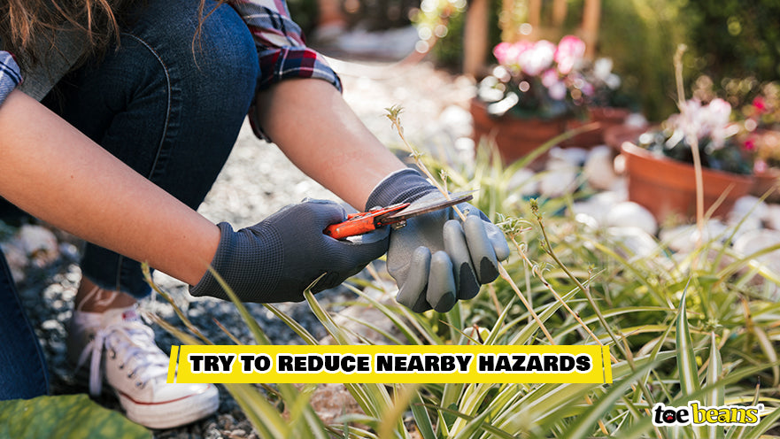 Reducing Nearby Outdoor Hazards Image by Toe Beans