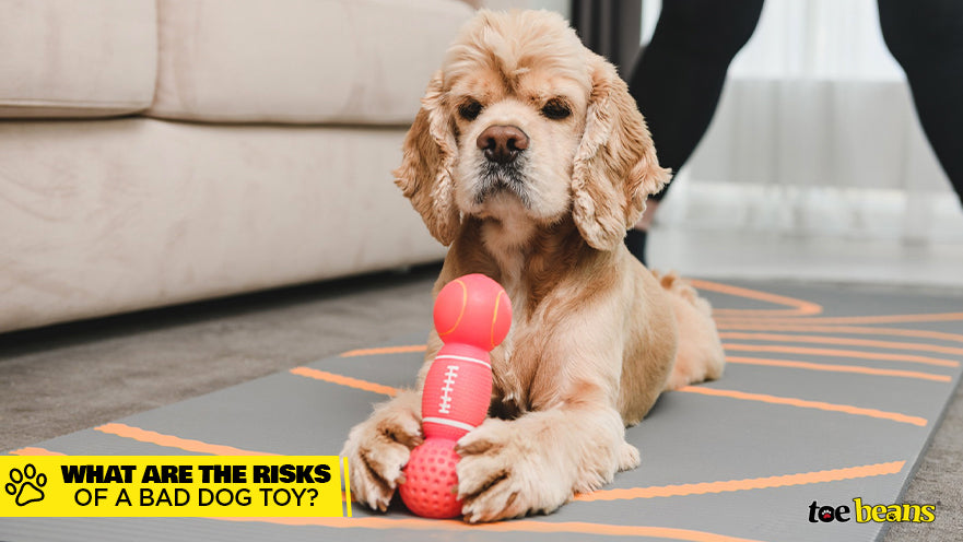 are hard plastic toys bad for dog teeth