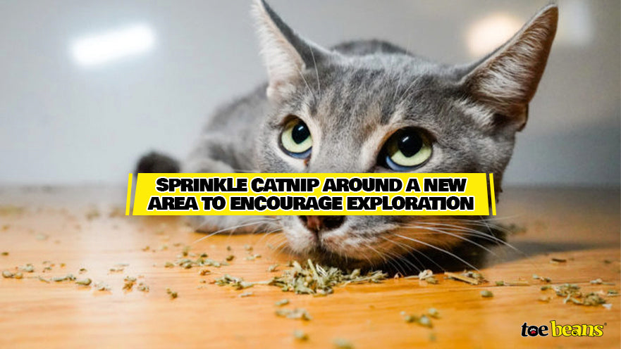 Sprinkle Catnip Around