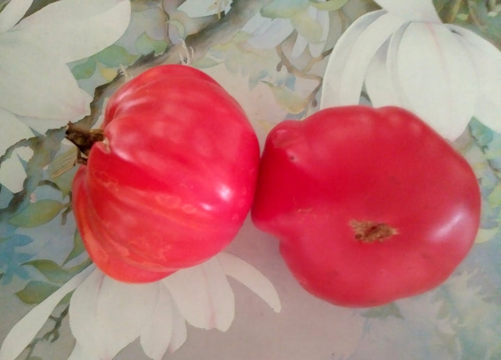 Tomato - Mémé de Beauce seeds - Heirloom Seeds Canada