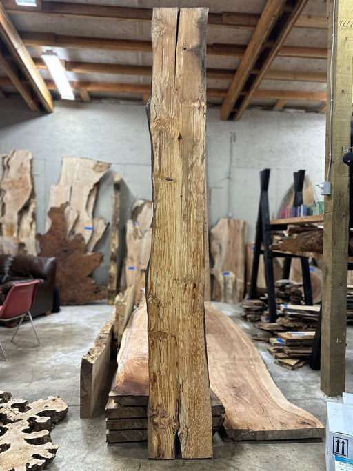 Live Edge Spalted Red Alder Wood Slabs - bookmatched - Frison-Logue  Hardwoods