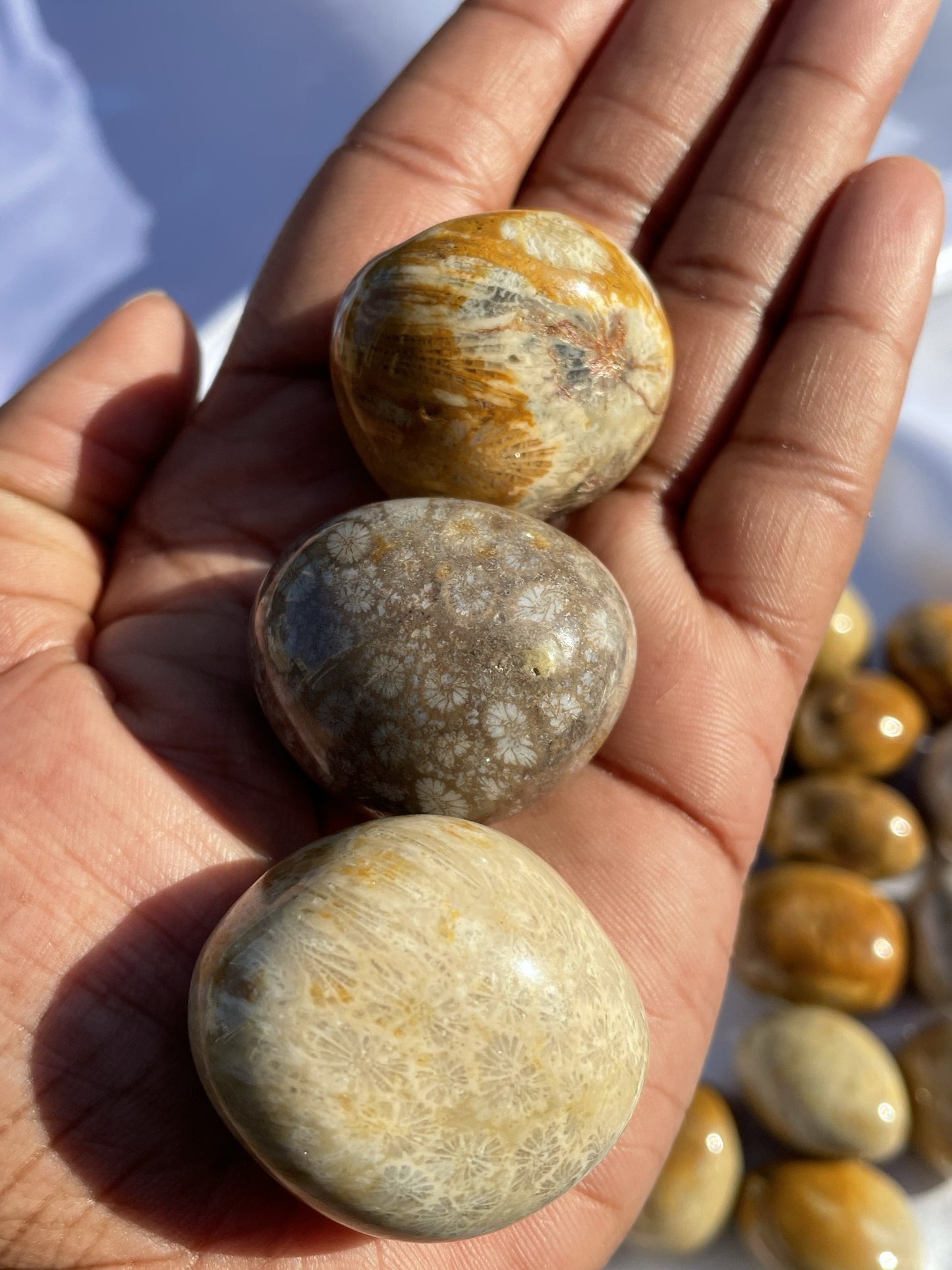 Agatized Coral Fossil Tumbled – Tons of Soul