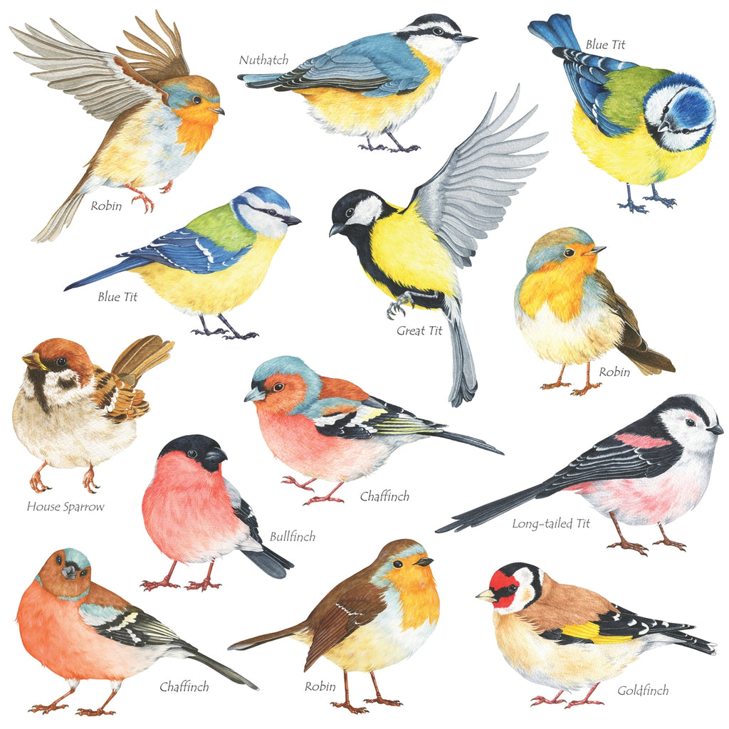 Little Birds Wall Stickers(Small) – DECOWALL