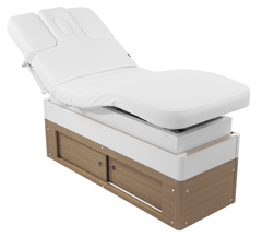 Mesa de tratamiento Lotus Electric Spa (silla/cama facial)