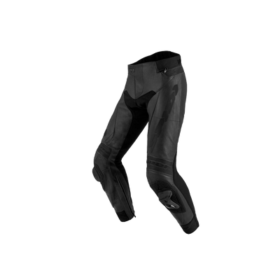Picture of SPIDI RR PRO 2 LEATHER PANTS - Q43