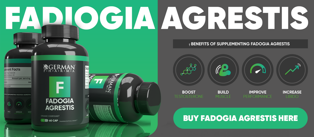 Fadogia Agrestis Buy Here