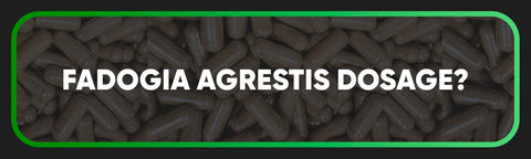 dosage of Fadogia Agrestis