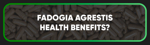 Benefits of Fadogia Agrestis