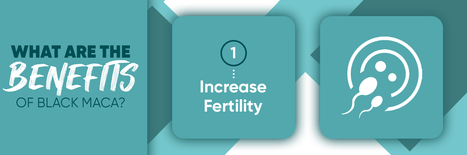 Increase Fertility