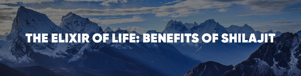 The Elixir of Life: Benefits of Shilajit