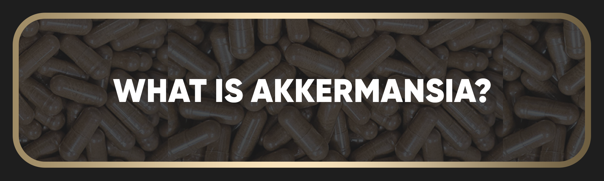 What Is Akkermansia
