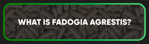 What is Fadogia Agrestis