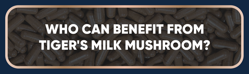 Who Can Benefit from Tiger's Milk Mushroom?