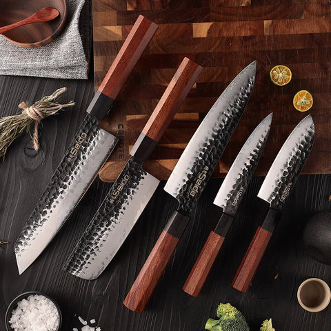 AUS-10 Japanese steel cutting core 5-Piece Knife set