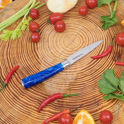 Paring Knife of Tengoku Chef Knife Set
