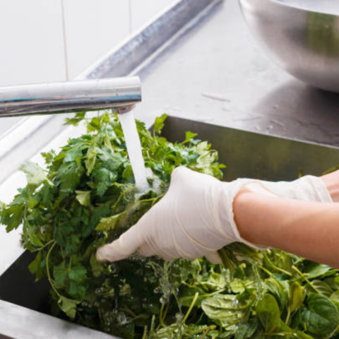 Rinse the cilantro with cold water