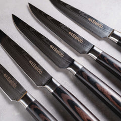 Hageshi AUS10 Japanese Chef Knife Set, 5-Piece By Seido Knives