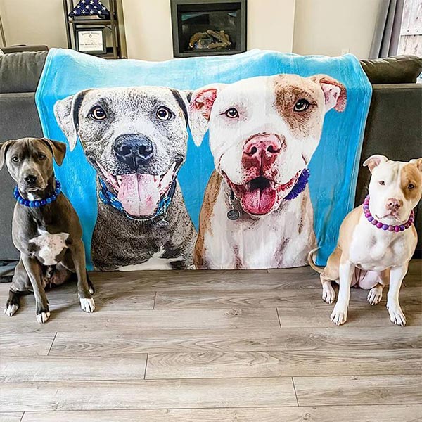 custom blanket with dog picture