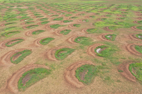 Die Bunds, die auch Earth Smiles genannt werden, können Wasser bei jedem Regenschauer speichern und so das Land wieder begrünen