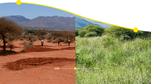 Wie von den Massai gegrabene Bunds die trockene Erde in Kenia wieder begrünen