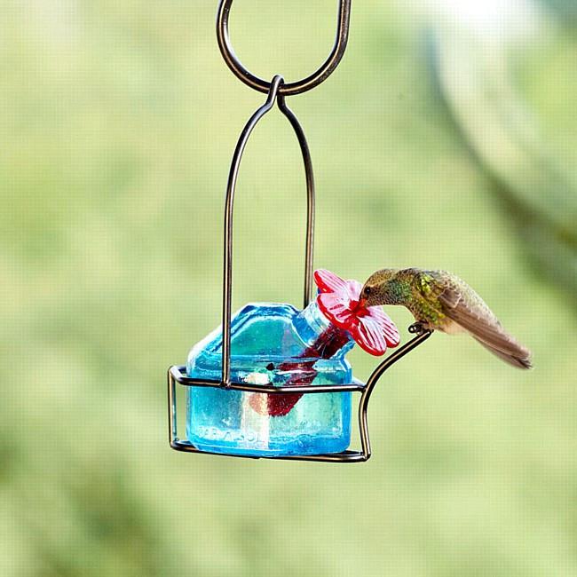 Lunch Pail Hummingbird Feeder One Station Hummingbirdhq Com