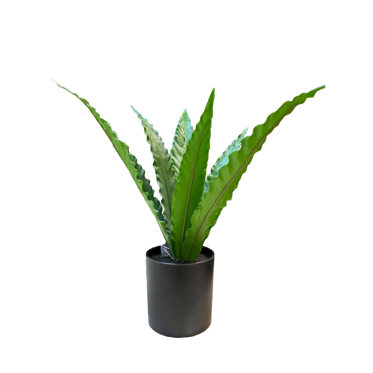 Planta Artificial Decorativa Yucca – Foly Muebles la mueblería más grande  de la región