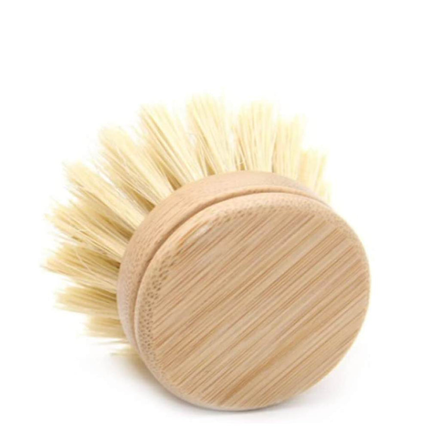 Replacement Brush Heads for Bamboo Dish Brush (4 Pack) - Jungle Culture