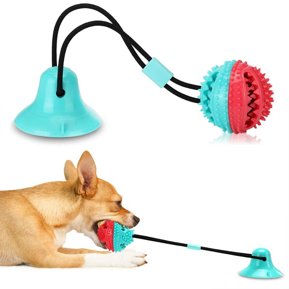 dog toy with suction cup