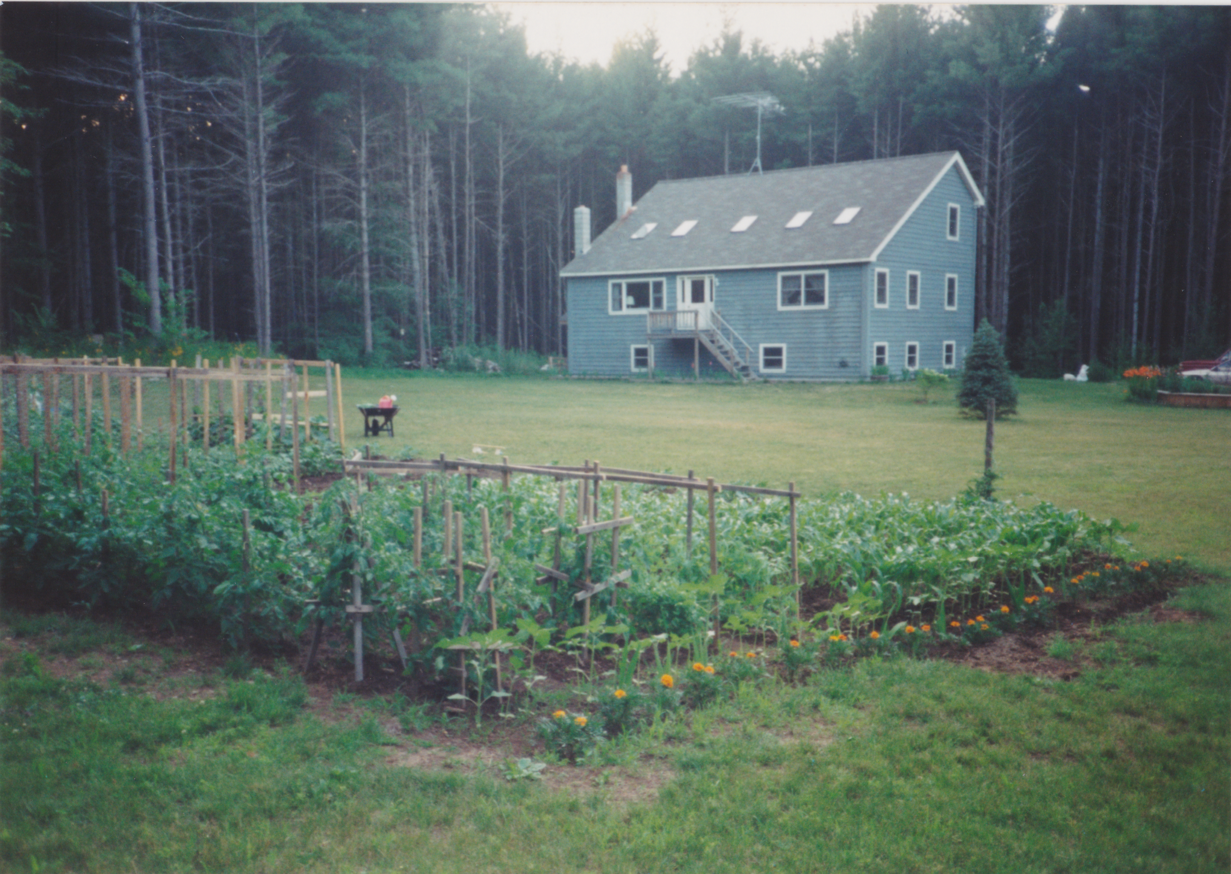 Curtis' childhood home and garden