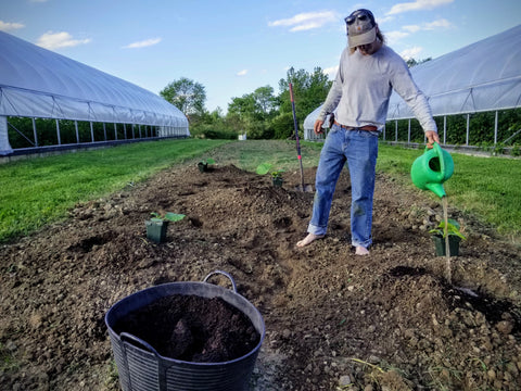 Curtis preparing to plant giant pumpkins with compost and bioinnoculants, 2020