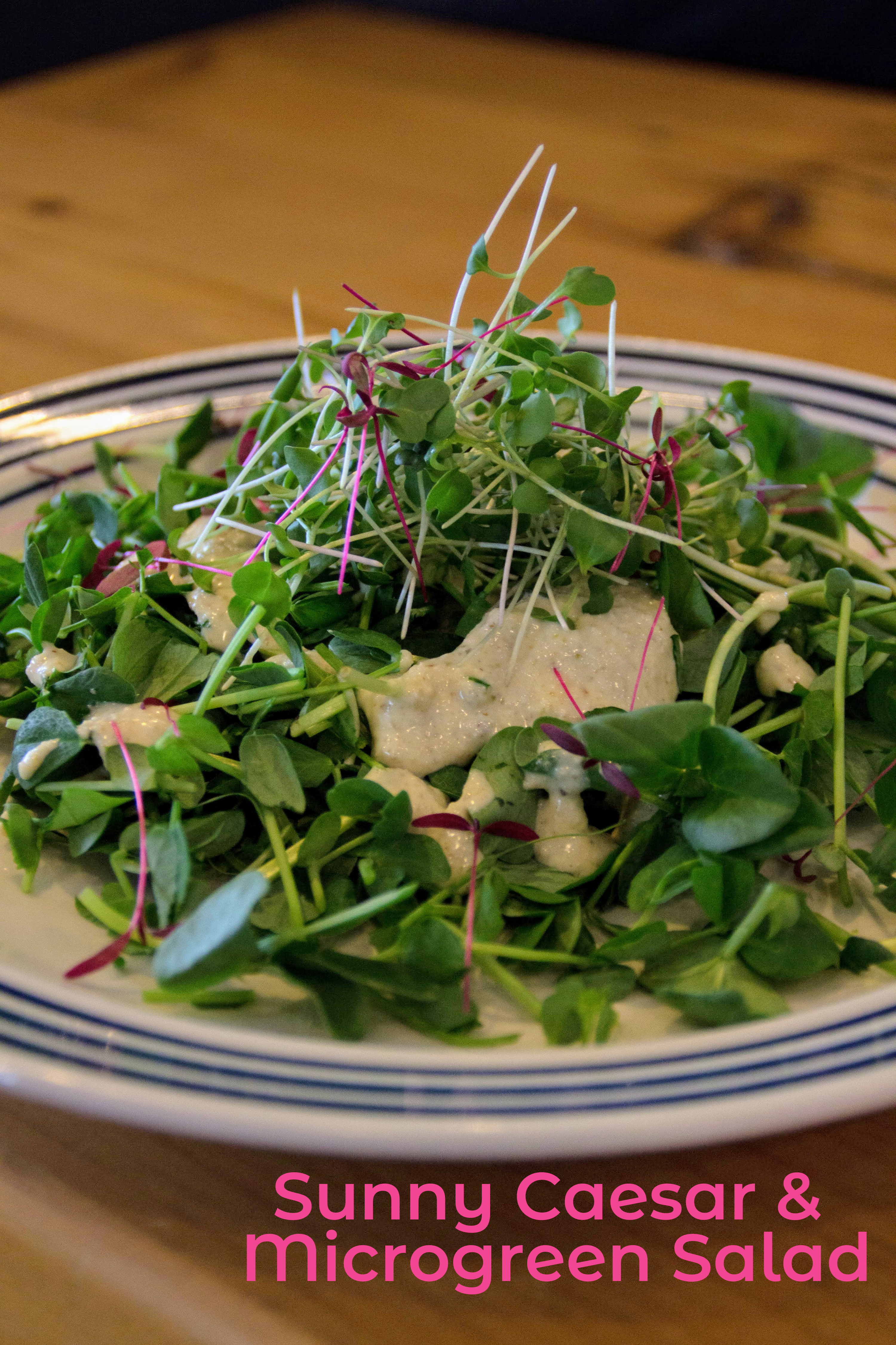 Sunny Caesar & Microgreen Salad