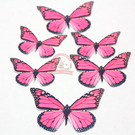 Paquete 7 Mariposas Con Fondo De Color P/ Decorar – El Mundo de la  Repostería