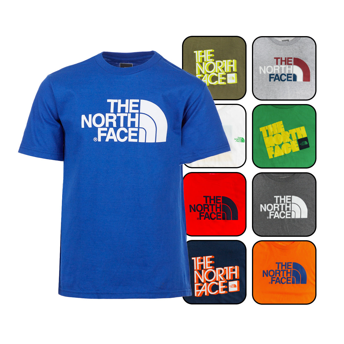 Image of The North Face Boy's Surprise Tee