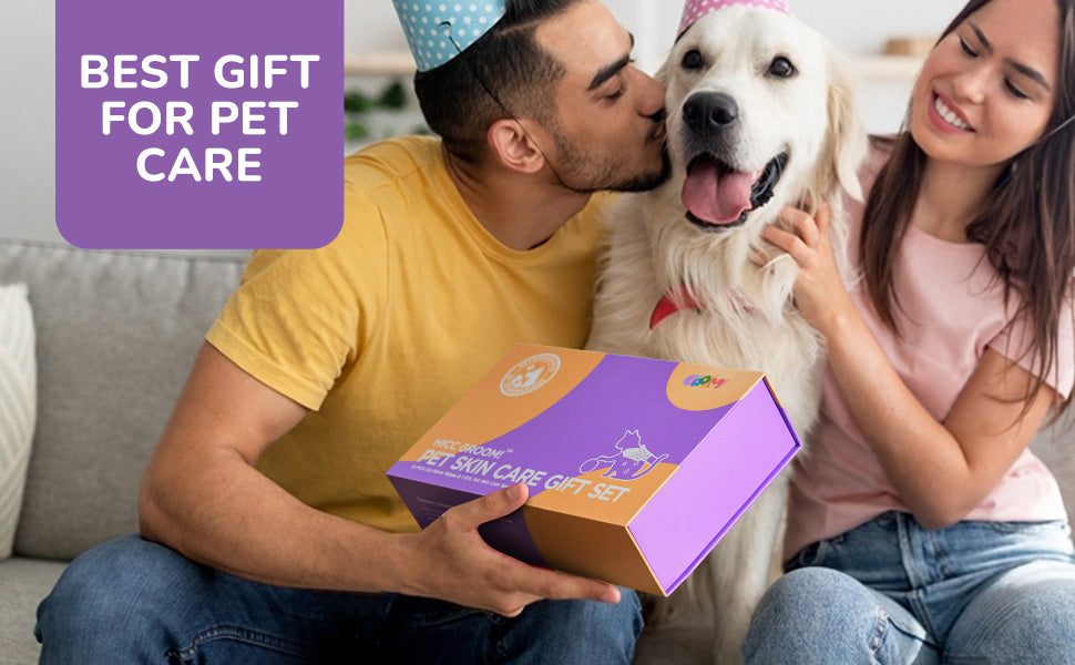 Person kisses dog wearing celebration hat.